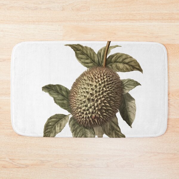 Item preview, vintage botanical cutout of a durian fruit designed and sold by EmeraldeaArt.