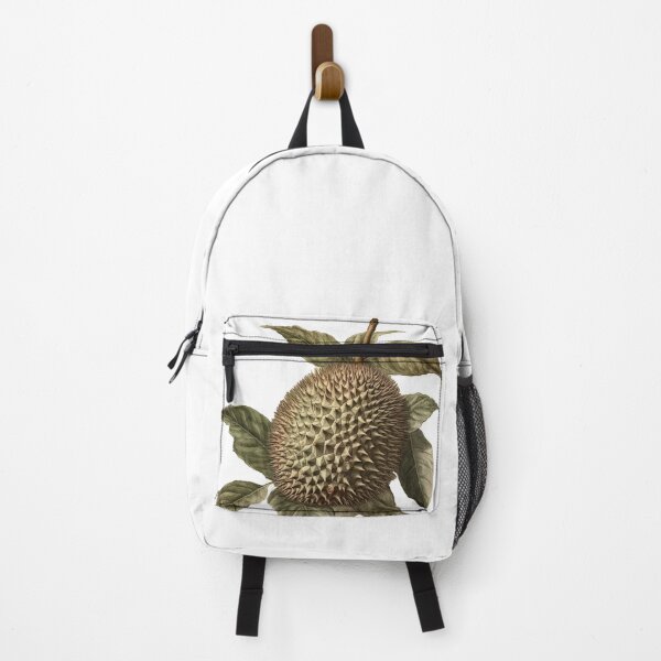 Item preview, vintage botanical cutout of a durian fruit designed and sold by EmeraldeaArt.