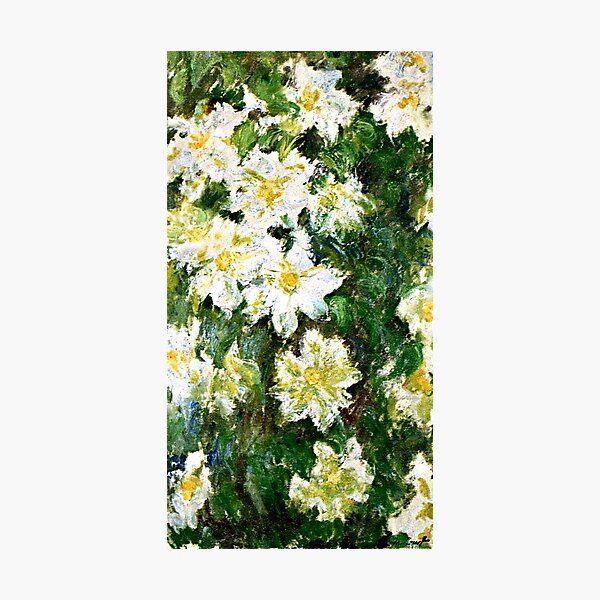 Monet - White Clematis, famous floral painting Photographic Print