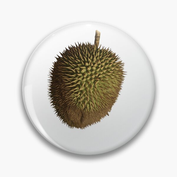 Item preview, a vintage botanical durian fruit cutout designed and sold by EmeraldeaArt.