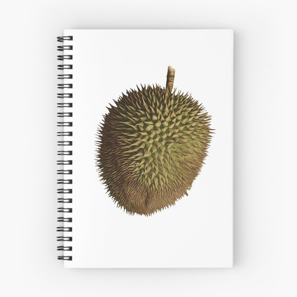 Item preview, a vintage botanical durian fruit cutout designed and sold by EmeraldeaArt.
