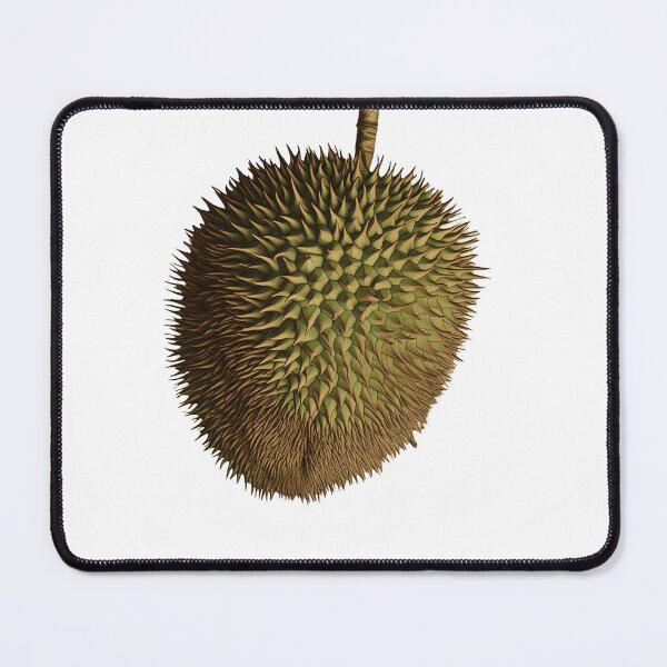 Item preview, a vintage botanical durian fruit cutout designed and sold by EmeraldeaArt.