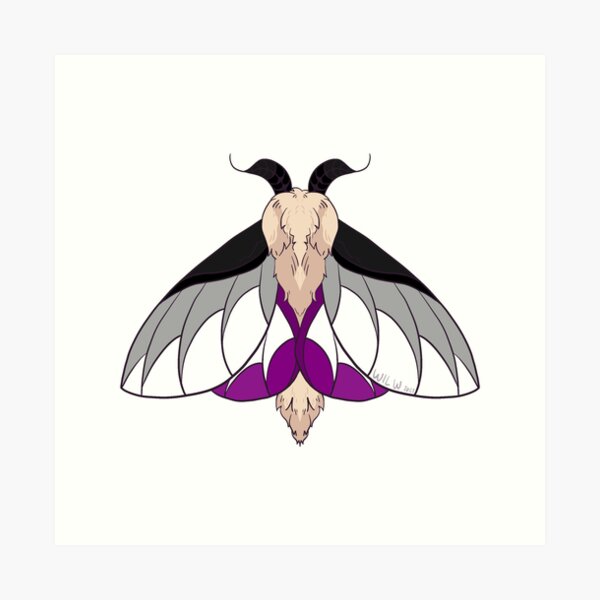 Rosy maple moth, an art print by pikaole - INPRNT