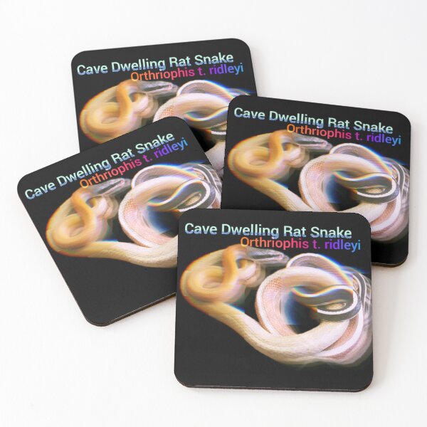 Item preview, Cave Dwelling Rat Snake. O. t. ridleyi designed and sold by StrangeFetish.