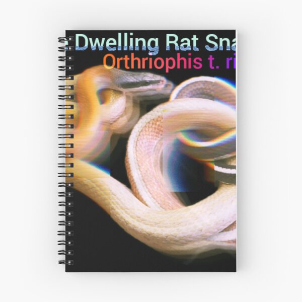 Item preview, Cave Dwelling Rat Snake. O. t. ridleyi designed and sold by StrangeFetish.