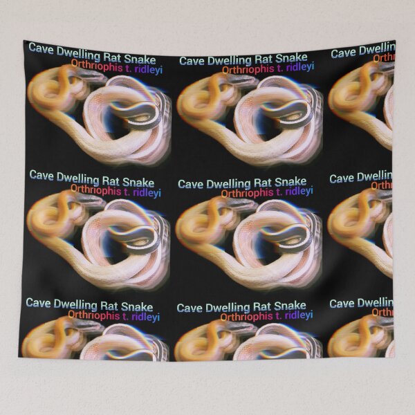 Item preview, Cave Dwelling Rat Snake. O. t. ridleyi designed and sold by StrangeFetish.