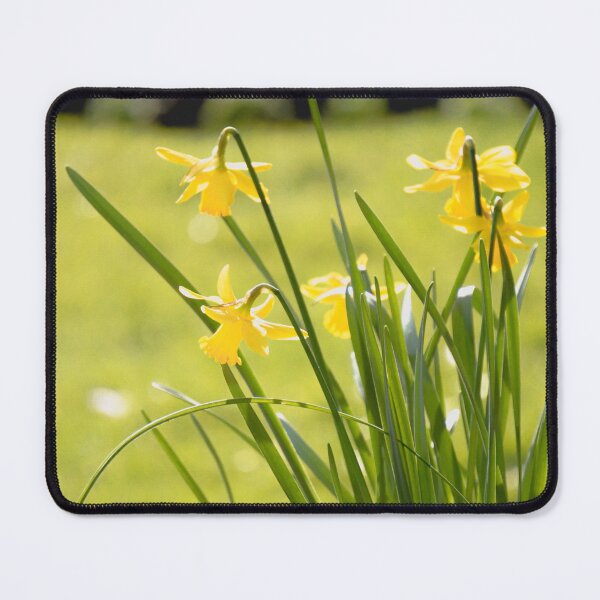 Item preview, Daffodils designed and sold by Rowena Ko.
