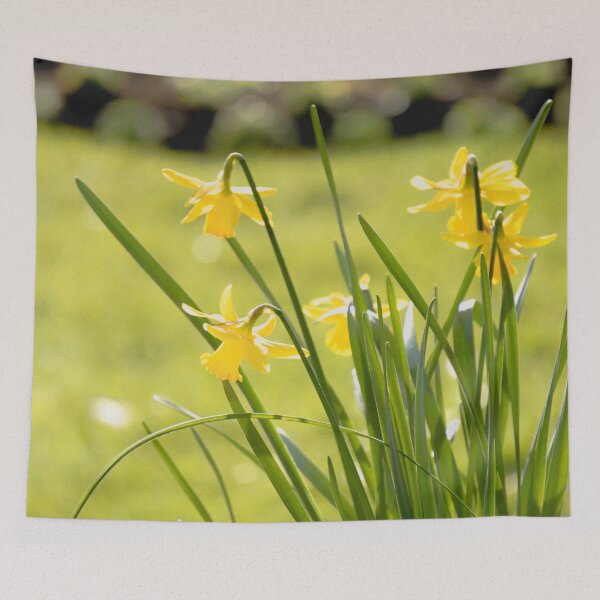 Item preview, Daffodils  designed and sold by Rowena Ko.