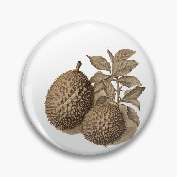 Item preview, vintage botanical durian fruits and twig cutout designed and sold by EmeraldeaArt.