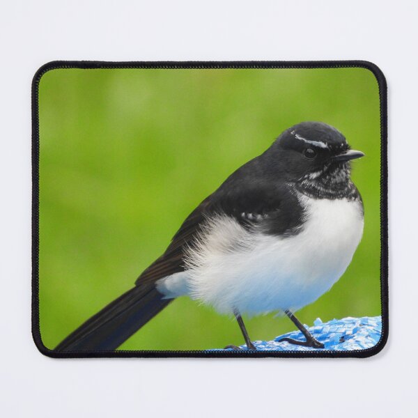 Item preview, Willie Wagtail designed and sold by Dragonsfield.