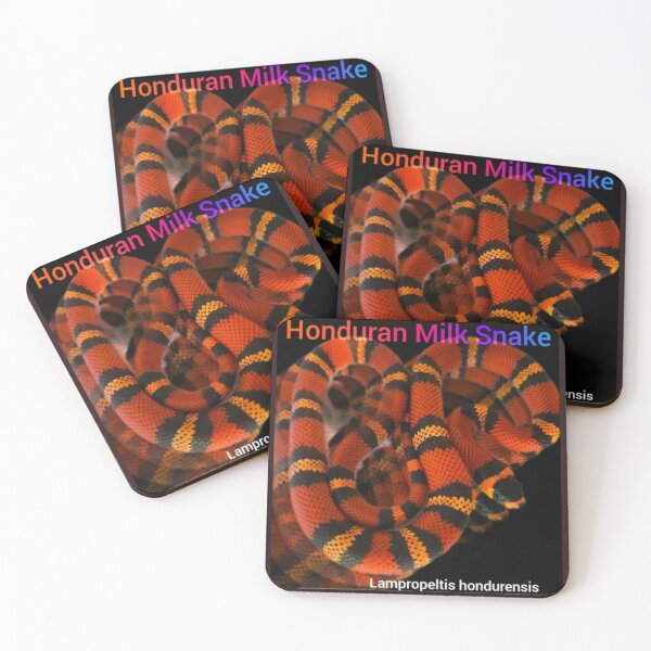 Item preview, Honduran Milk Snake. Lampropeltis hondurensis  designed and sold by StrangeFetish.