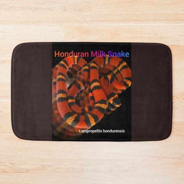 Item preview, Honduran Milk Snake. Lampropeltis hondurensis  designed and sold by StrangeFetish.