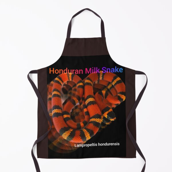 Item preview, Honduran Milk Snake. Lampropeltis hondurensis designed and sold by StrangeFetish.