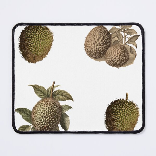 Item preview, vintage botanical durian fruits stickerpack designed and sold by EmeraldeaArt.