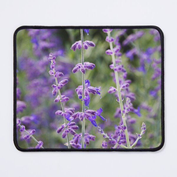 Item preview, Lavender Bush Flowers designed and sold by Joy Watson - Natural Light Photography .