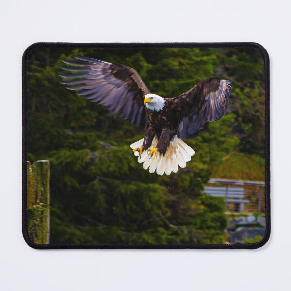 Item preview, Bald Eagle designed and sold by Umi-Kai-Designs.