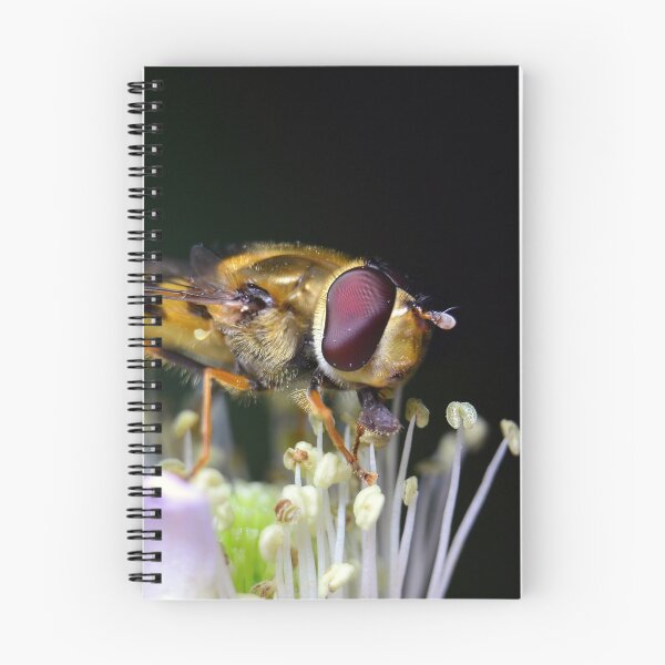 Item preview, Hoverfly designed and sold by YussefRafik.
