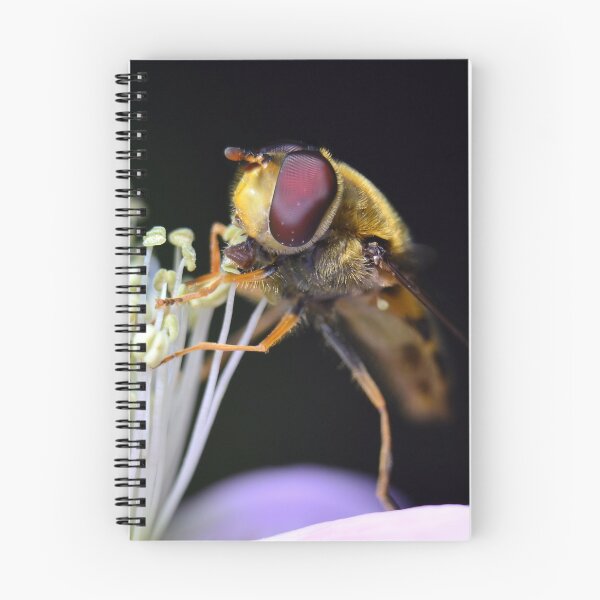 Item preview, Hoverfly designed and sold by YussefRafik.