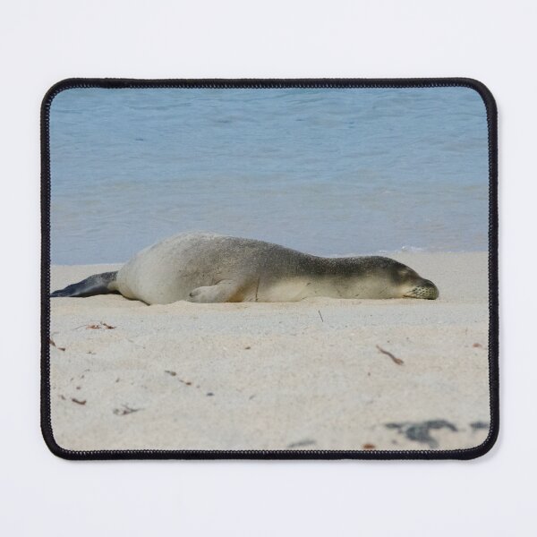 Item preview, Sleepy Seal designed and sold by Umi-Kai-Designs.