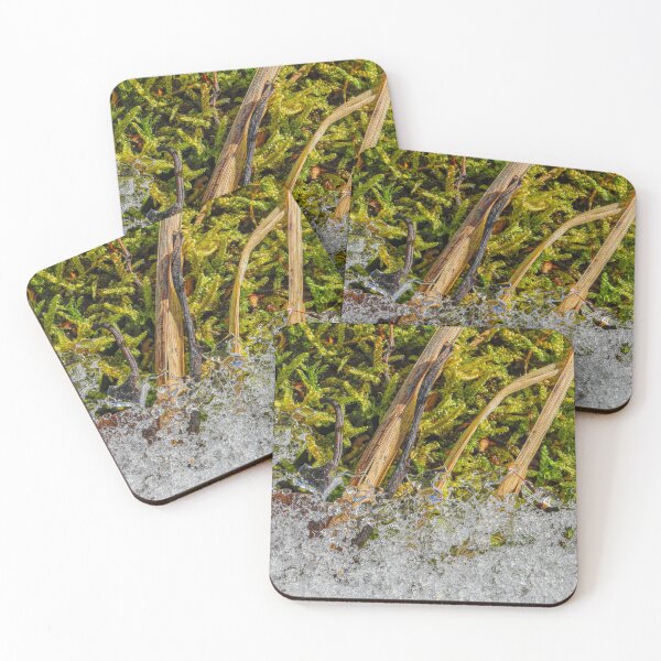 Item preview, Spring designed and sold by Veikko  Suikkanen.