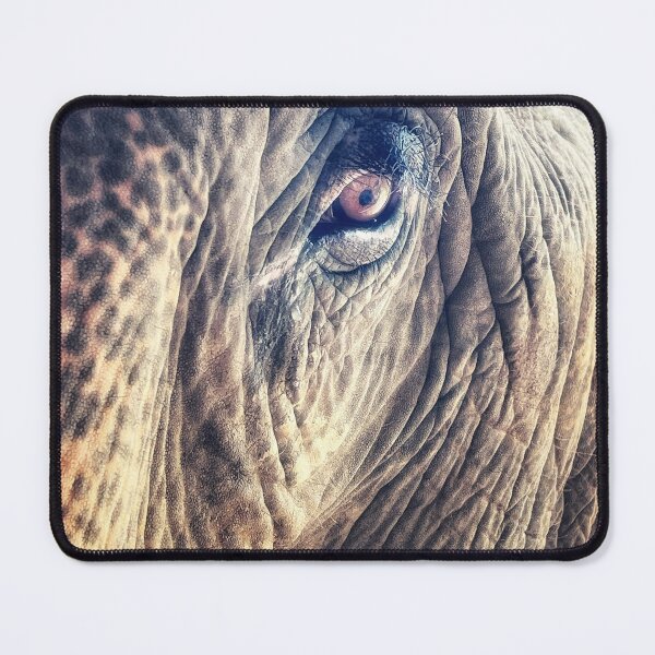 Item preview, Elephant face close up designed and sold by angieblue-25.