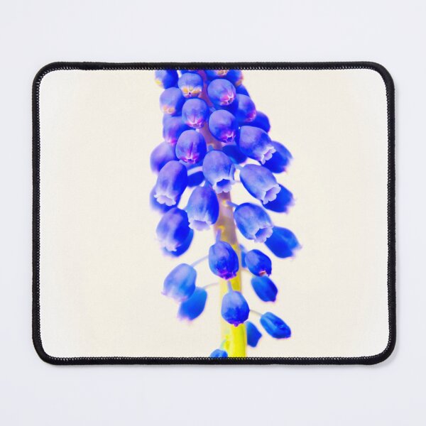 Item preview, Muscari Art designed and sold by JEZ22.