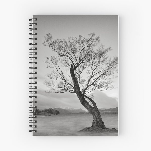 Item preview, the Ullswater Tree designed and sold by marshall calvert  IPA.