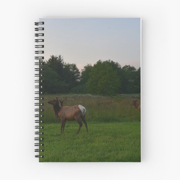 Item preview, Roosevelt Elk, Stone Lagoon, Humboldt Co., California designed and sold by Mike Kunes.