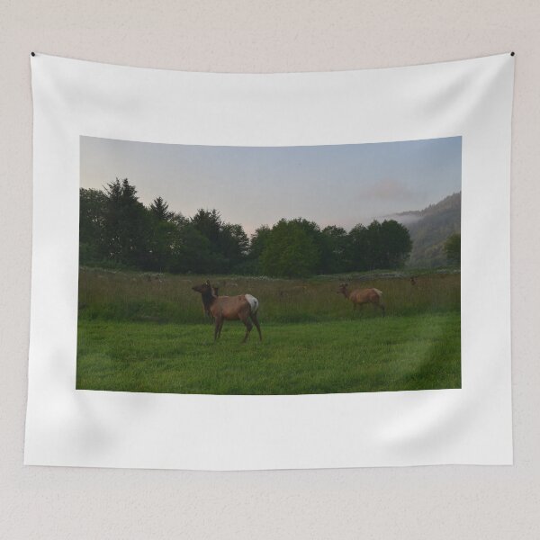 Item preview, Roosevelt Elk, Stone Lagoon, Humboldt Co., California designed and sold by Mike Kunes.