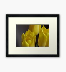 Yellow Tulips 6 Framed Print