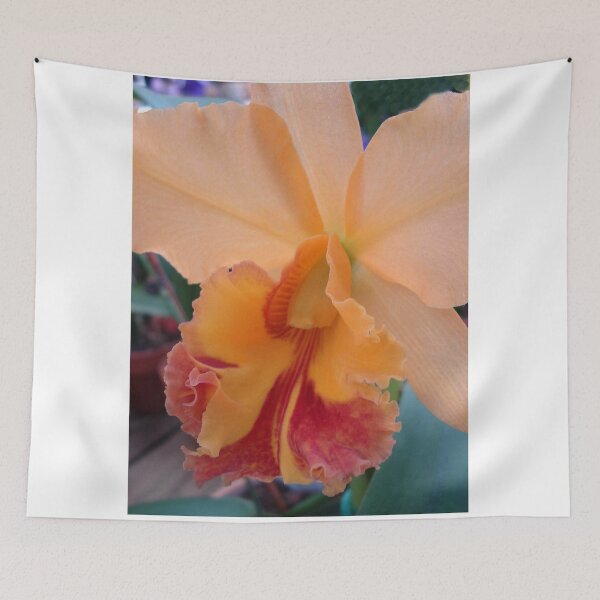 Item preview, Peachy Perfection - Beautiful Cattleya designed and sold by May Lattanzio.