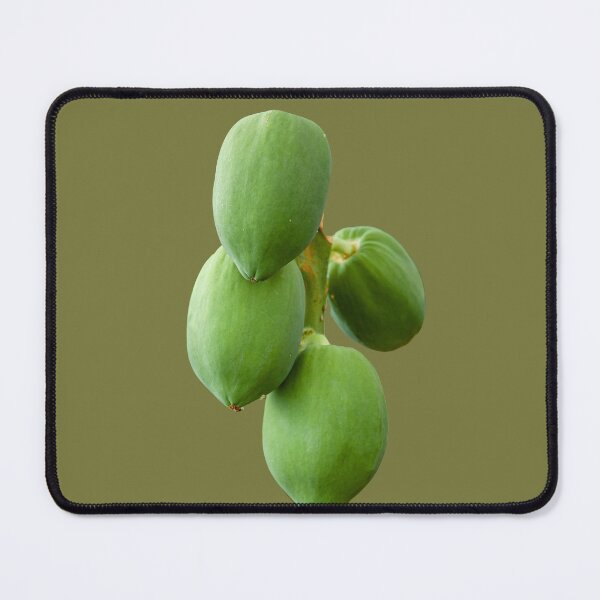 Item preview, Growing Mangos designed and sold by Dalyndigital Photography.