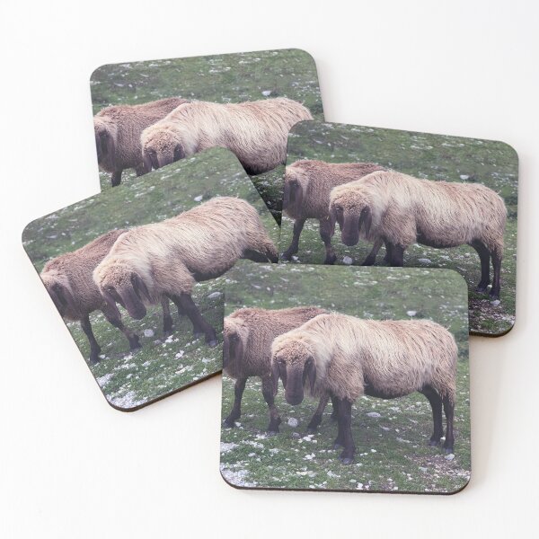 Item preview, Two super sheep meet the Austrian Alps designed and sold by szymontravels.