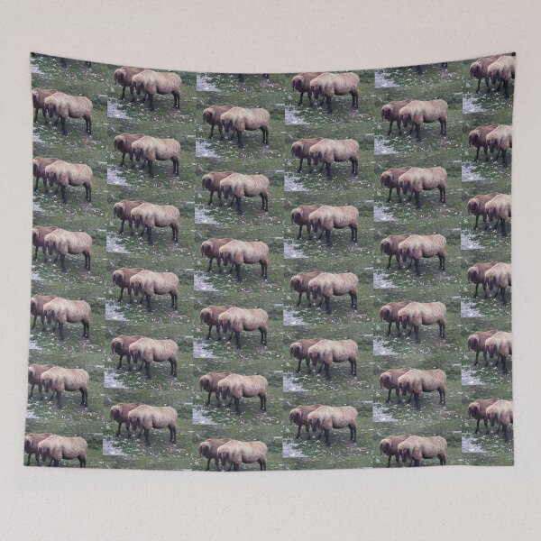 Item preview, Two super sheep meet the Austrian Alps designed and sold by szymontravels.