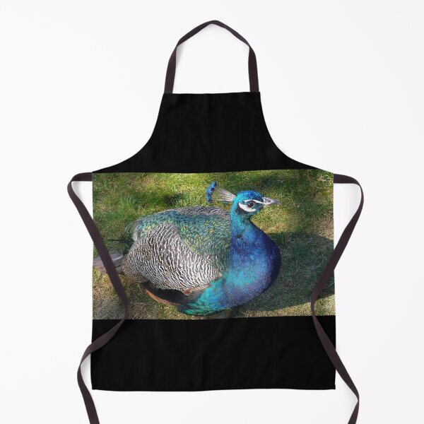 Item preview, Peacock with black background designed and sold by Binas-gallery.
