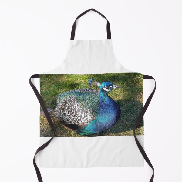 Item preview, Peacock with white background designed and sold by Binas-gallery.