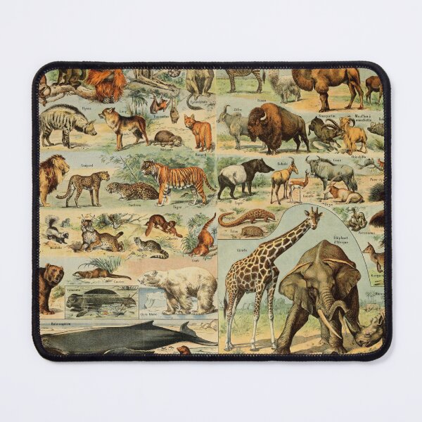 Item preview, Mammals (1907-1910) - Le Larousse pour tous designed and sold by SALON DES ARTS.