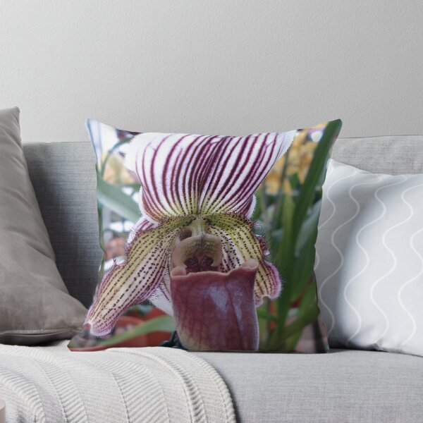 Item preview, Lady Slipper  designed and sold by May Lattanzio.