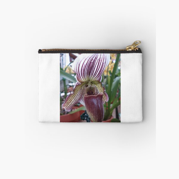 Item preview, Lady Slipper  designed and sold by May Lattanzio.
