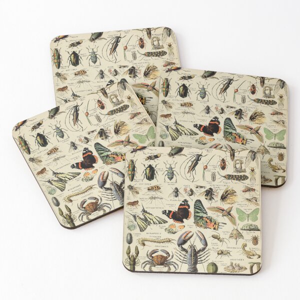 Item preview, Arthropods (1907-1910) - Le Larousse pour tous designed and sold by SALON DES ARTS.