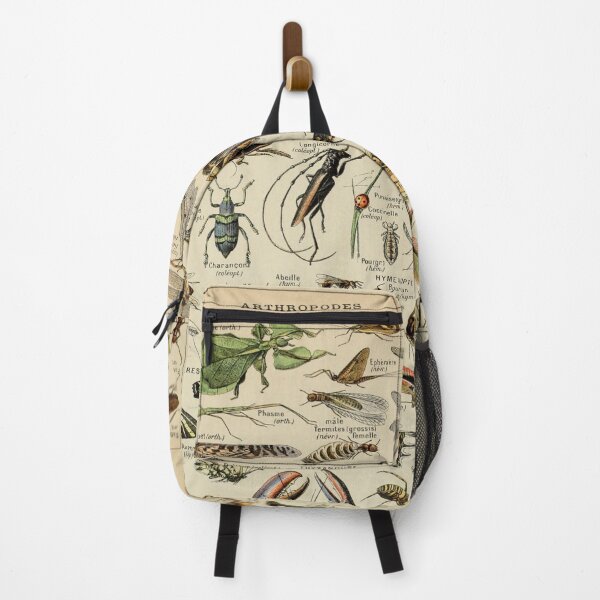 Item preview, Arthropods (1907-1910) - Le Larousse pour tous designed and sold by SALON DES ARTS.