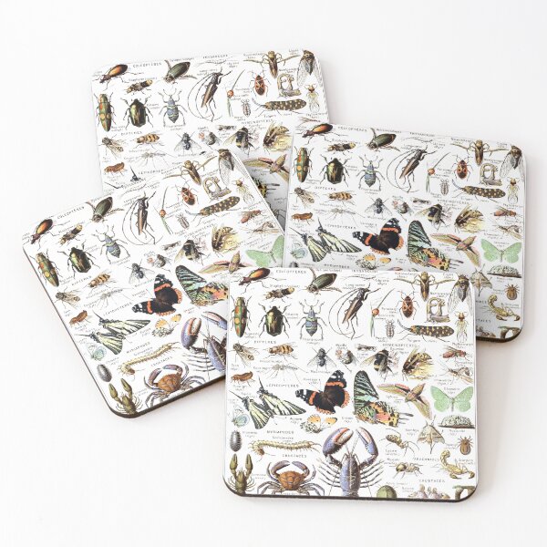 Item preview, Arthropods (1907-1910) - Le Larousse pour tous designed and sold by SALON DES ARTS.