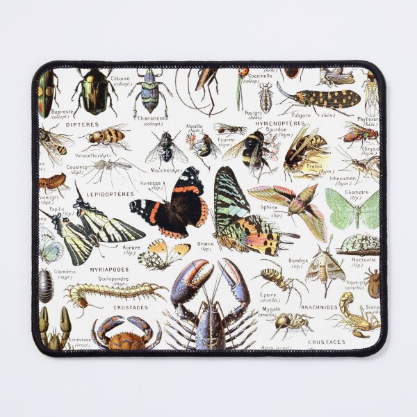 Item preview, Arthropods (1907-1910) - Le Larousse pour tous designed and sold by SALON DES ARTS.