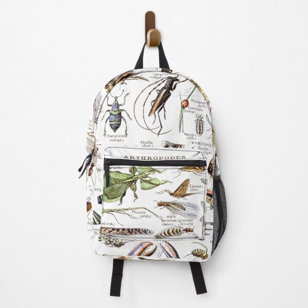 Item preview, Arthropods (1907-1910) - Le Larousse pour tous designed and sold by SALON DES ARTS.