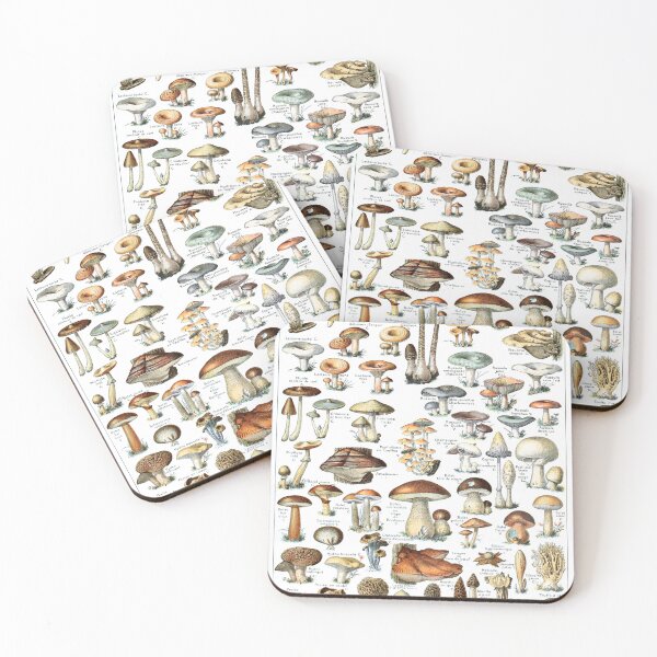 Item preview, Mushrooms (1907-1910) - Le Larousse pour tous designed and sold by SALON DES ARTS.