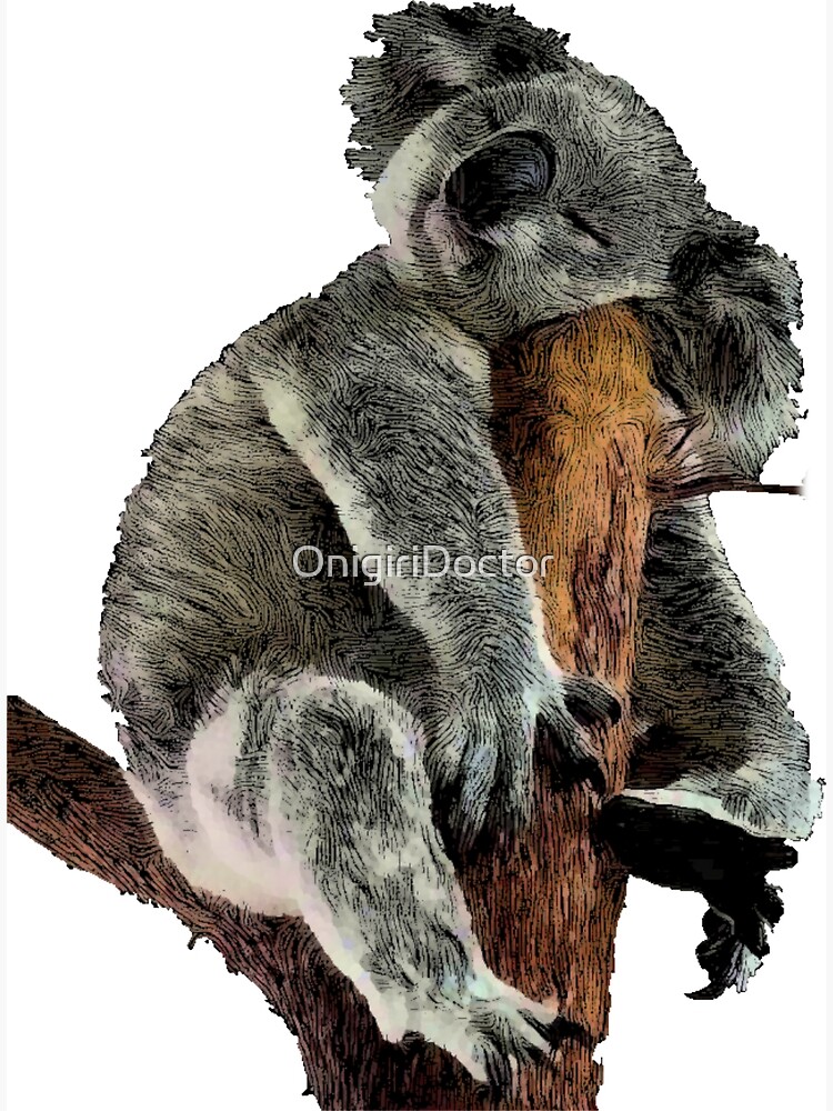 Buy Sleeping Koala Art Print