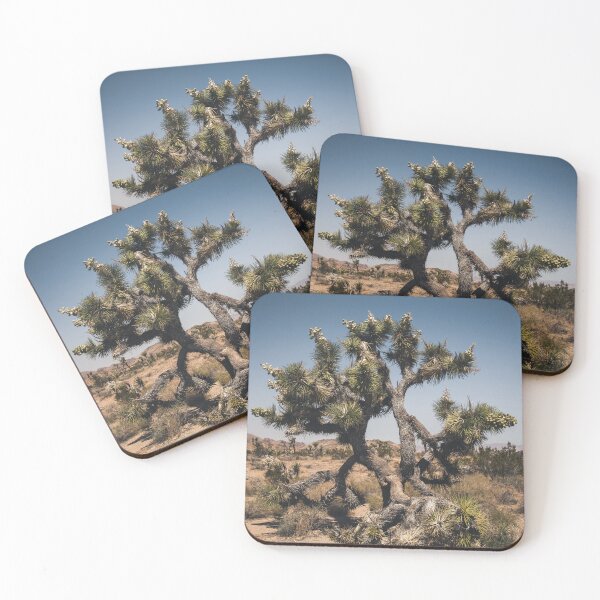 Item preview, Joshua Tree Photo at Joshua Tree National Park CA V2 designed and sold by Family Journey with God.