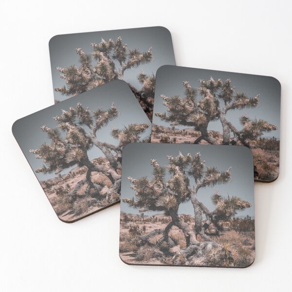Item preview, Joshua Tree Photo at Joshua Tree National Park CA V3 designed and sold by Family Journey with God.