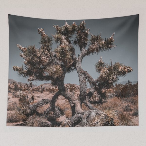 Item preview, Joshua Tree Photo at Joshua Tree National Park CA V3 designed and sold by Family Journey with God.