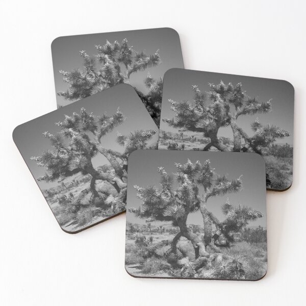 Item preview, Joshua Tree Photo at Joshua Tree National Park CA V4 designed and sold by Family Journey with God.